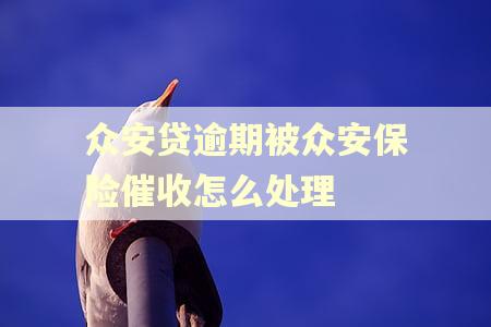 众安贷逾期被众安保险催收怎么处理