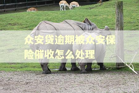 众安贷逾期被众安保险催收怎么处理