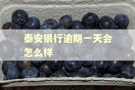 泰安银行逾期一天会怎么样