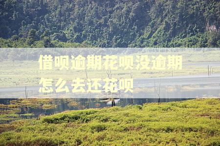 借呗逾期花呗没逾期怎么去还花呗