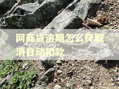 网商贷逾期怎么样取消自动扣款