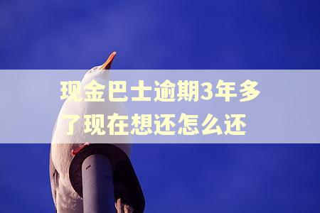 现金巴士逾期3年多了现在想还怎么还