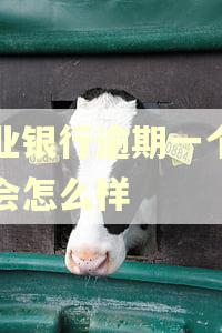 兴业银行逾期一个星期会怎么样