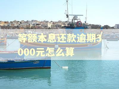 等额本息还款逾期3000元怎么算