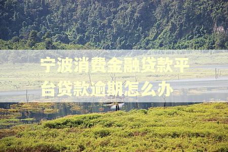 宁波消费金融贷款平台贷款逾期怎么办