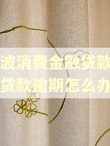 宁波消费金融贷款平台贷款逾期怎么办 宁波消费金融贷款平台贷款逾期怎么办
