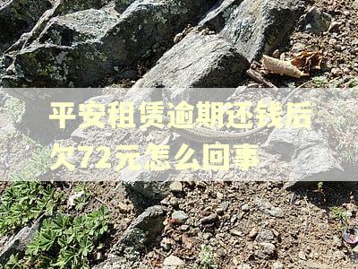 平安租赁逾期还钱后欠72元怎么回事