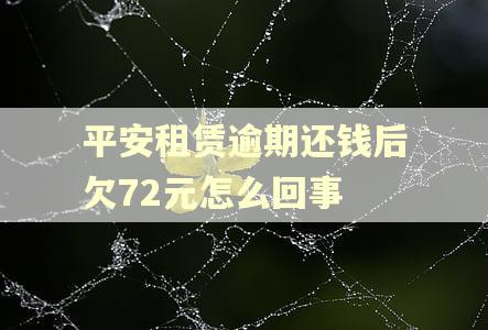 平安租赁逾期还钱后欠72元怎么回事