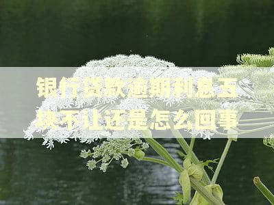 银行贷款逾期利息五块不让还是怎么回事