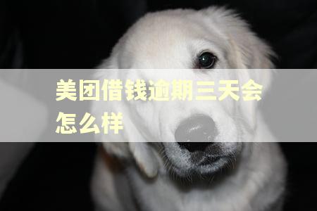 美团借钱逾期三天会怎么样
