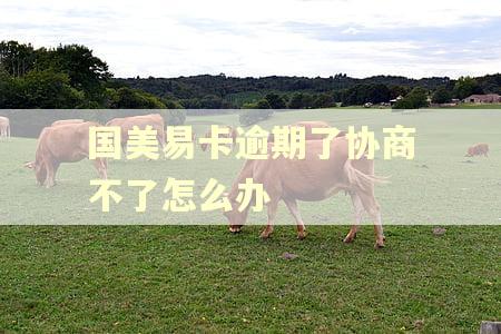 国美易卡逾期了协商不了怎么办
