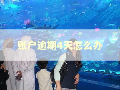 账户逾期4天怎么办