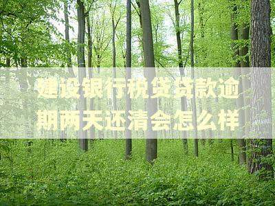 建设银行税贷贷款逾期两天还清会怎么样