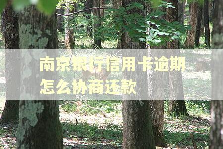 南京银行信用卡逾期怎么协商还款