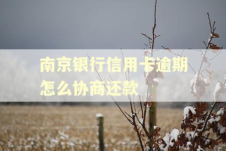 南京银行信用卡逾期怎么协商还款