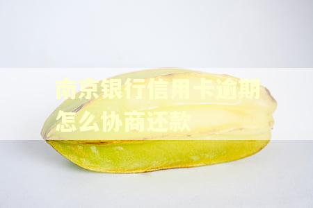 南京银行信用卡逾期怎么协商还款
