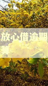抖音放心借逾期罚金怎么算