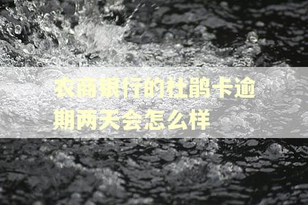 农商银行的杜鹃卡逾期两天会怎么样