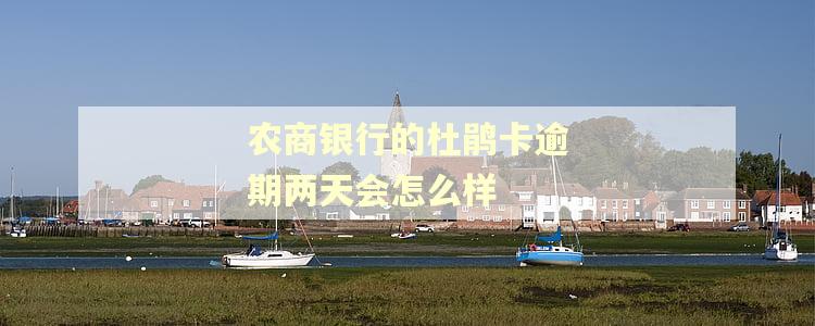 农商银行的杜鹃卡逾期两天会怎么样
