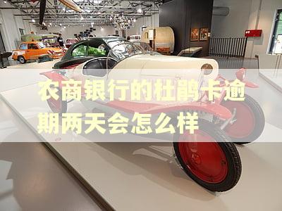 农商银行的杜鹃卡逾期两天会怎么样
