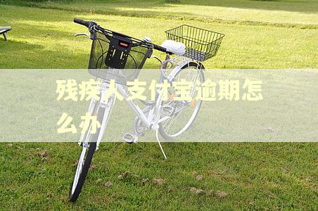 残疾人支付宝逾期怎么办