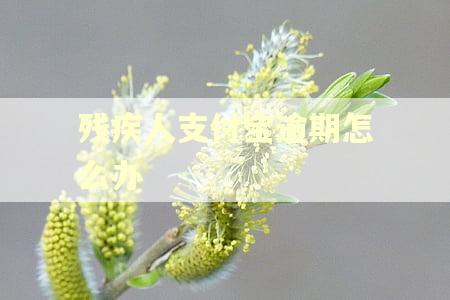 残疾人支付宝逾期怎么办 残疾人支付宝逾期怎么办