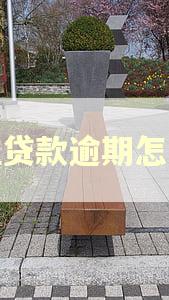 粒粒贷款逾期怎么办