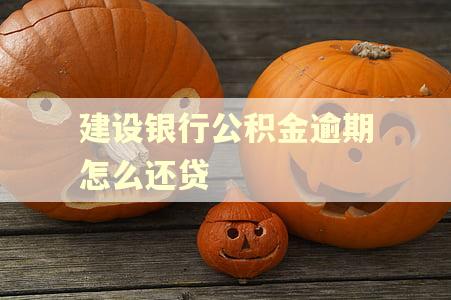 建设银行公积金逾期怎么还贷