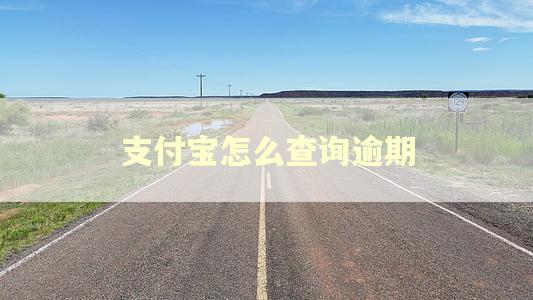 支付宝怎么查询逾期