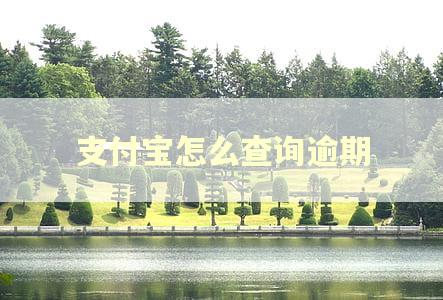 支付宝怎么查询逾期