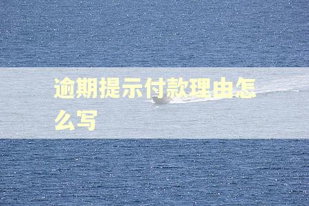 逾期提示付款理由怎么写