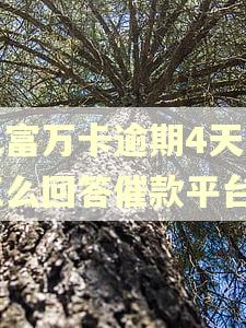 玖富万卡逾期4天了怎么回答催款平台