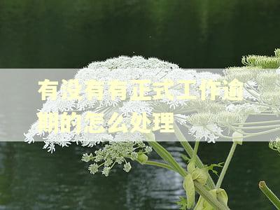 有没有有正式工作逾期的怎么处理