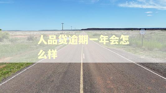 人品贷逾期一年会怎么样