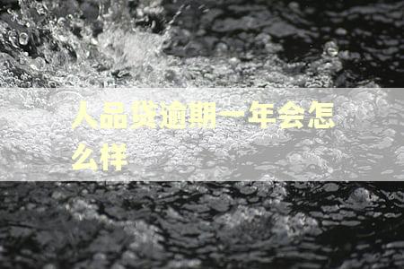 人品贷逾期一年会怎么样