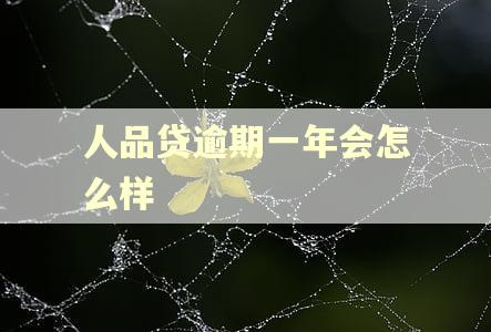 人品贷逾期一年会怎么样
