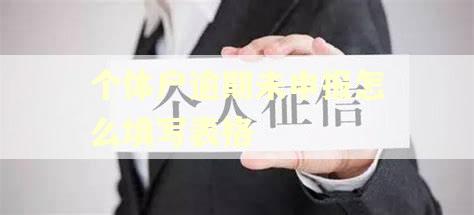 个体户逾期未申报怎么填写表格