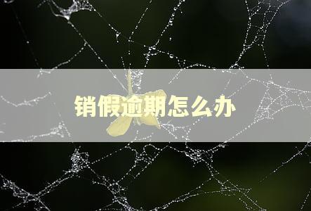 销假逾期怎么办
