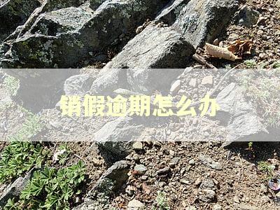 销假逾期怎么办