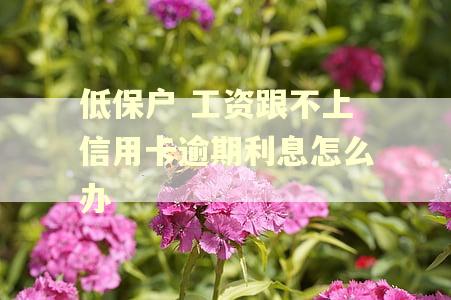 低保户 工资跟不上信用卡逾期利息怎么办