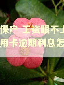 低保户 工资跟不上信用卡逾期利息怎么办