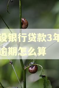 建设银行贷款3年期满逾期怎么算