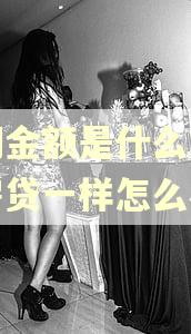 逾期金额是什么意思和房贷一样怎么办