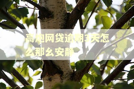 高炮网贷逾期3天怎么那幺安静