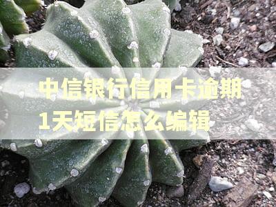 中信银行信用卡逾期1天短信怎么编辑