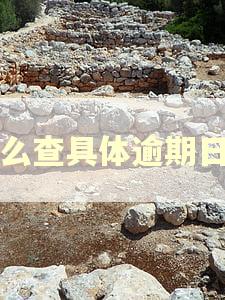 怎么查具体逾期日期 怎么查具体逾期日期