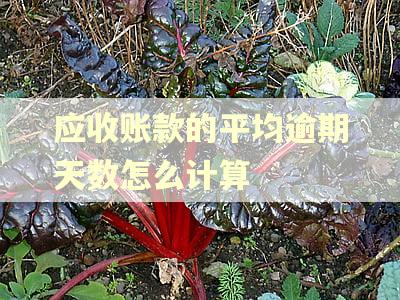 应收账款的平均逾期天数怎么计算