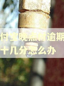 支付宝晚点付逾期扣了十几分怎么办