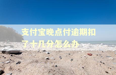 支付宝晚点付逾期扣了十几分怎么办