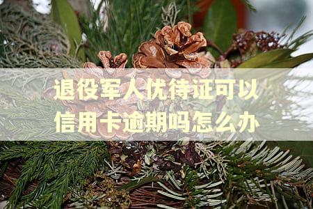 退役军人优待证可以信用卡逾期吗怎么办